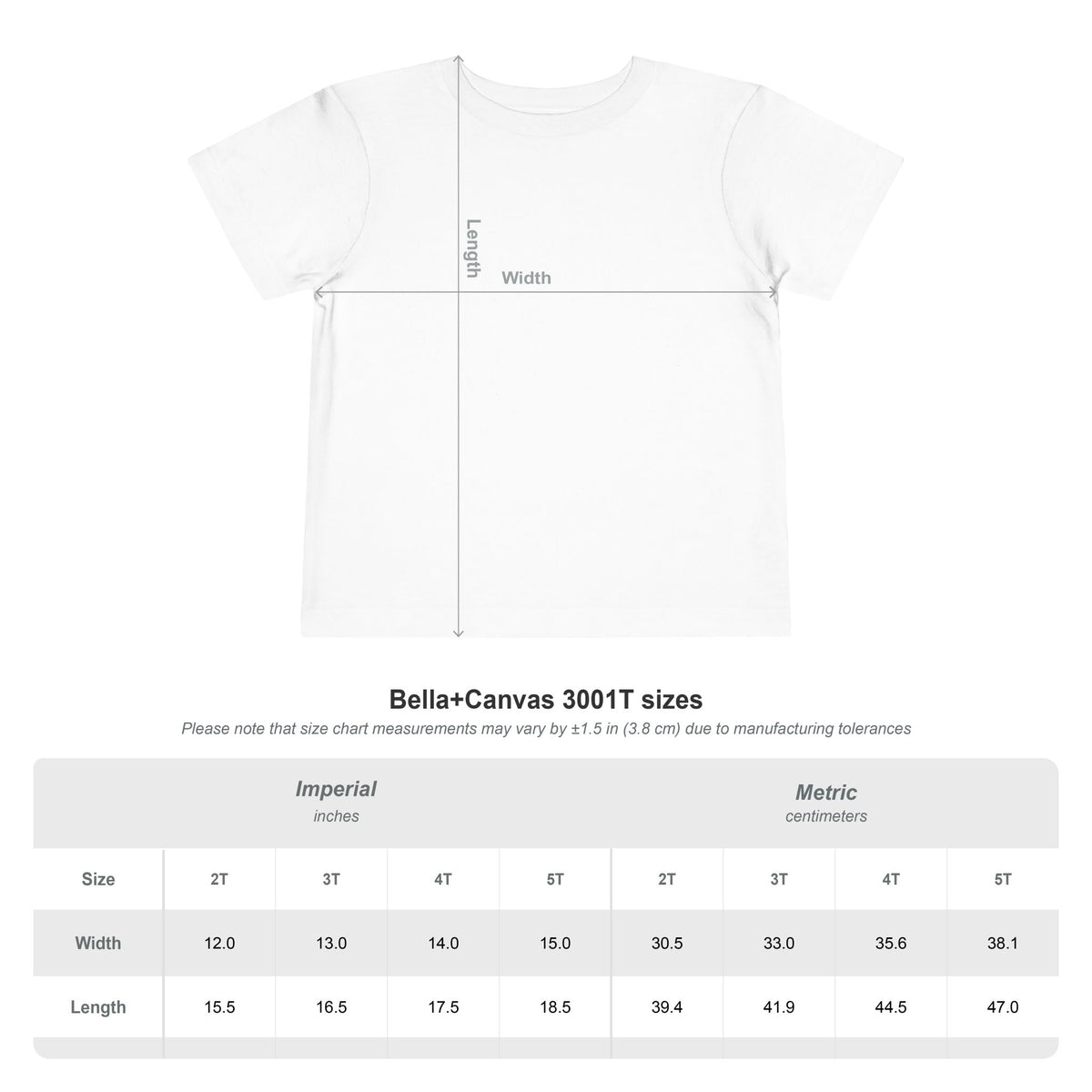 Toddler Tee — "Touchdowns & Terror" Football Graphic