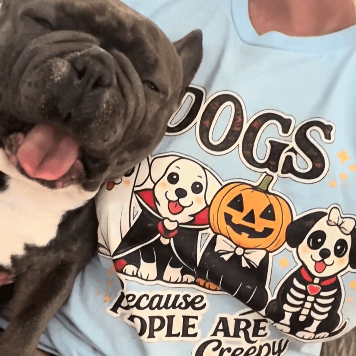 Dogs Because People Are Creepy T-Shirt - Boo Crew Boutique